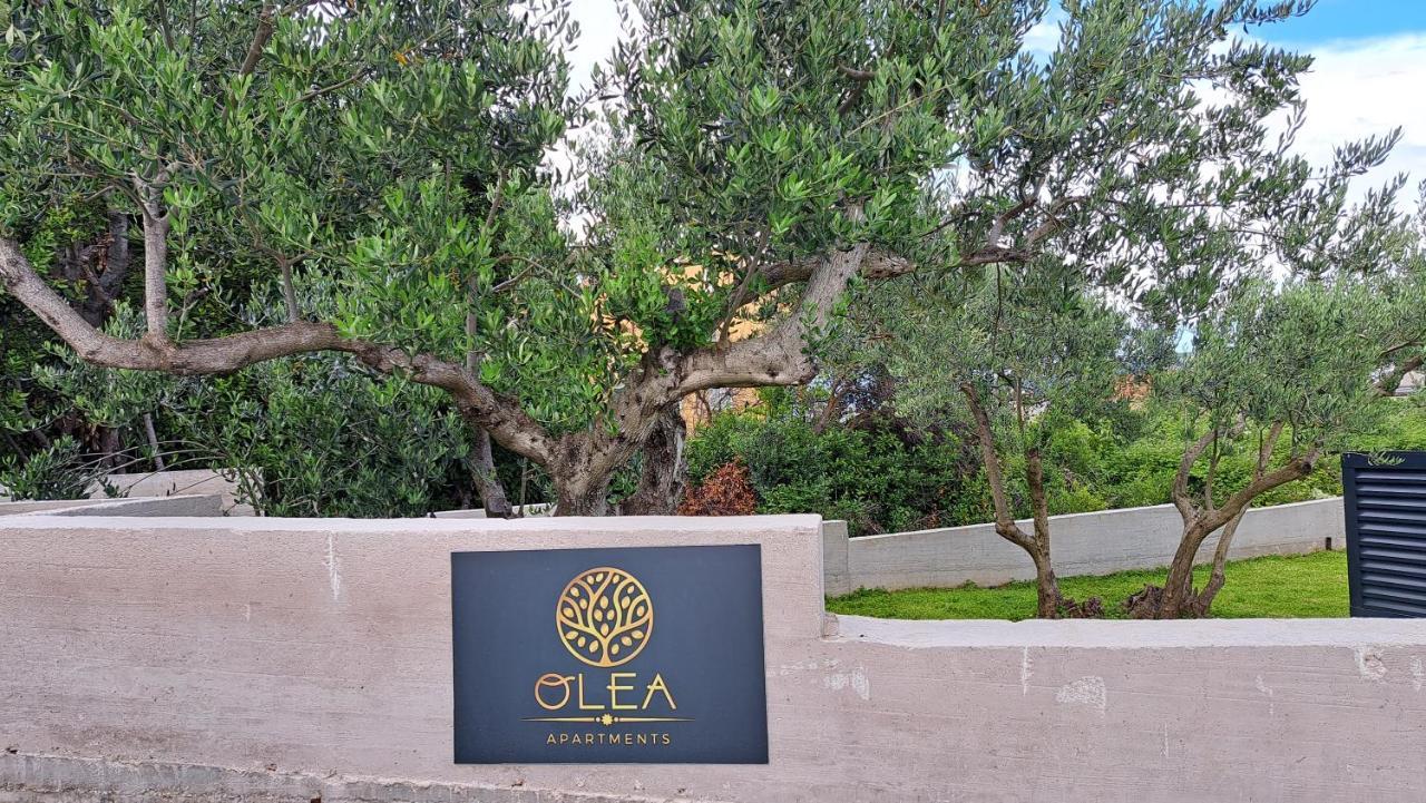 Olea Apartments טרוגיר מראה חיצוני תמונה